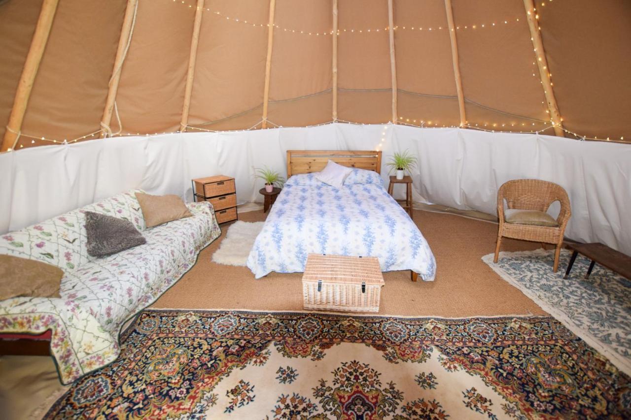 DRAGONFLY LODGE IFOLD & ALPACA MY TIPI GLAMPING, BILLINGSHURST